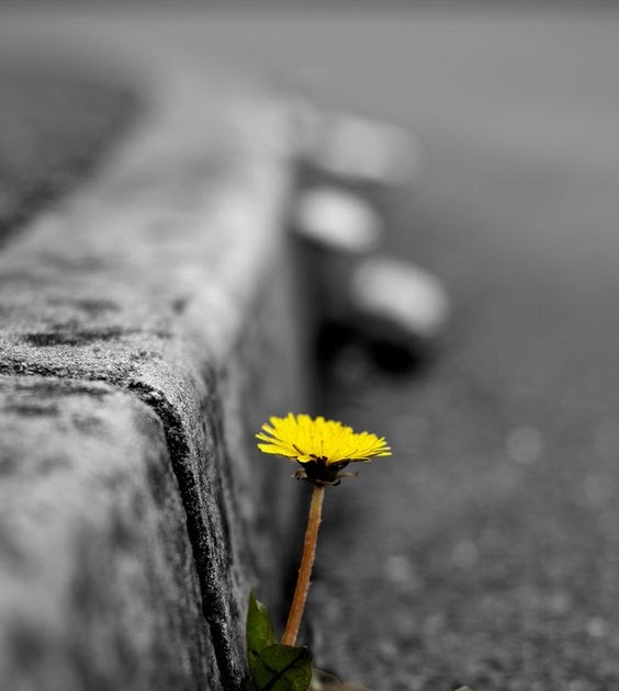 WHY IS HOPE SO IMPORTANT?