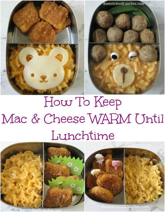 How to Keep School lunch Warm for Lunchtime And Best Lunch Boxes