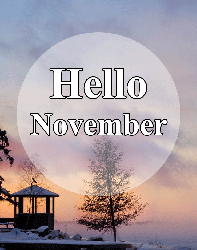 Trọn Bộ Hình Ảnh Chào Tháng 11 Đẹp Nhất, Hello November 2020