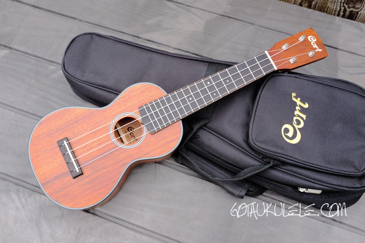 GOT A UKULELE - Ukulele reviews and beginners tips: Cort UKE-BWS Soprano  Ukulele - REVIEW