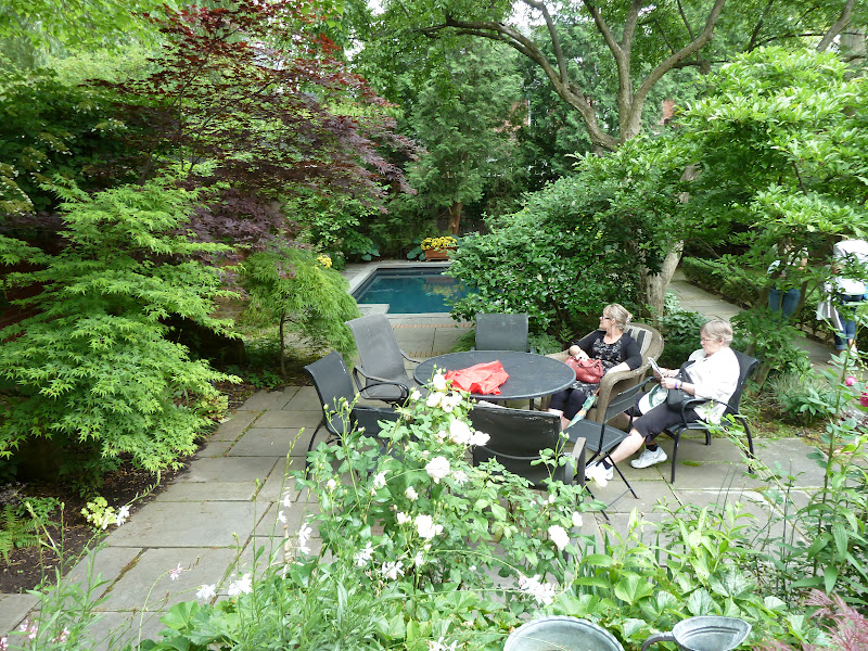 Barbara's Garden Chronicles More from the Rosedale Garden Tour