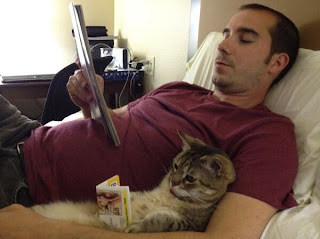 Funny Cat owner Reading on the bed