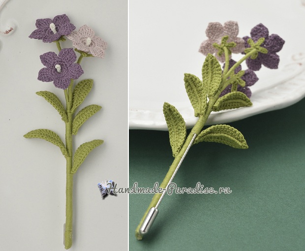 Клематисы крючком (2)