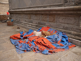 two cats resting on a pile of orange and blue materials