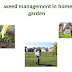 weed management in home garden