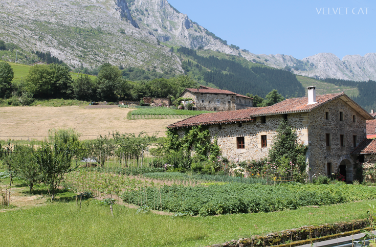 Hoy compartimos tiempo de verano fotografía