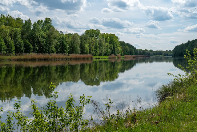 Premiumwanderweg DonAUwald  Etappe 4 von Dillingen nach Höchstädt 17