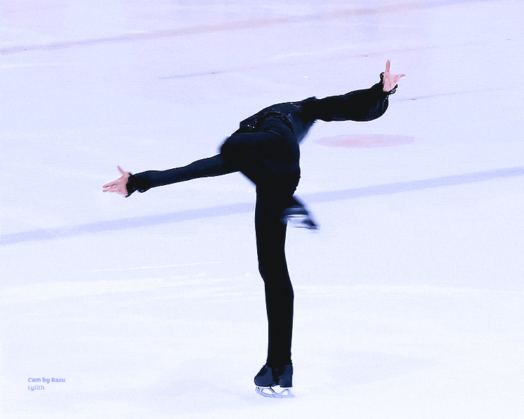 5.gif