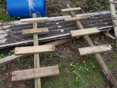 How to make supports for raspberry plants The 80 Minute Allotment Green Fingered Blog