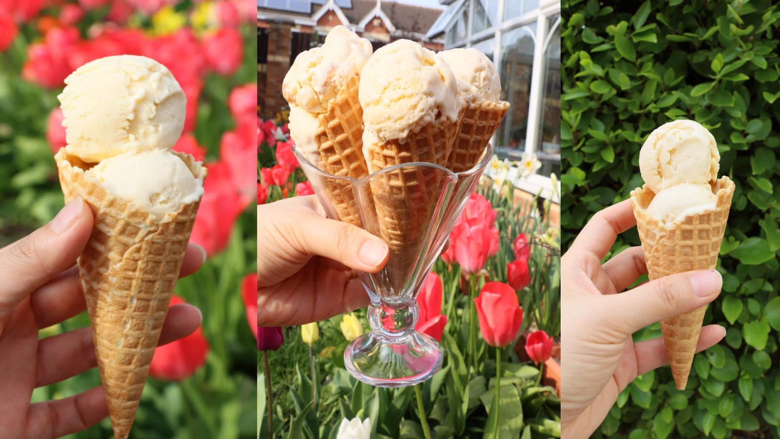 Josephine's Recipes Real Vanilla Ice Cream Recipe The Best Ice