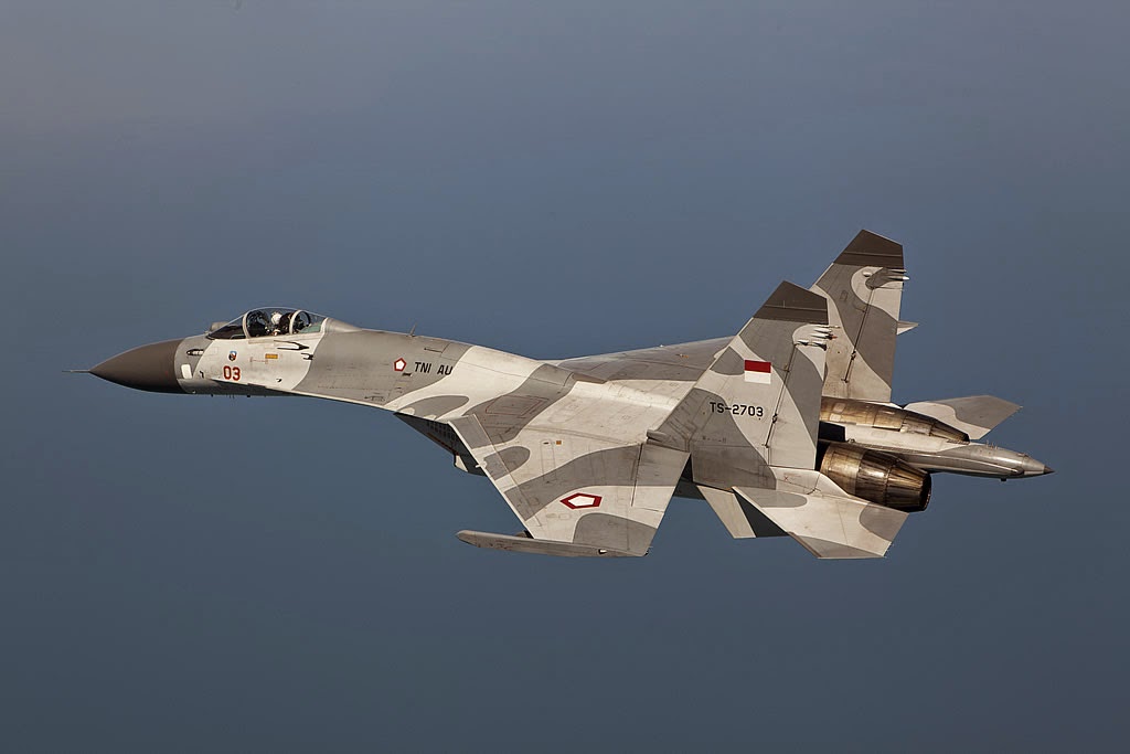 AIR_SU-27SK_Indonesian_Pitch_Black_2012_lg.jpg