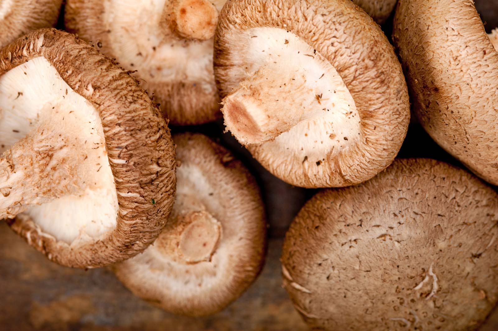 Why are shiitake mushrooms so expensive? Organic mushrooms