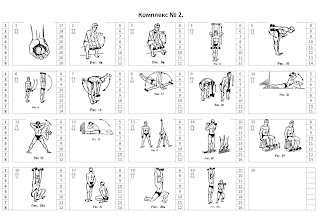 Пустовойт упражнения с гантелями амортизатором гирями читать