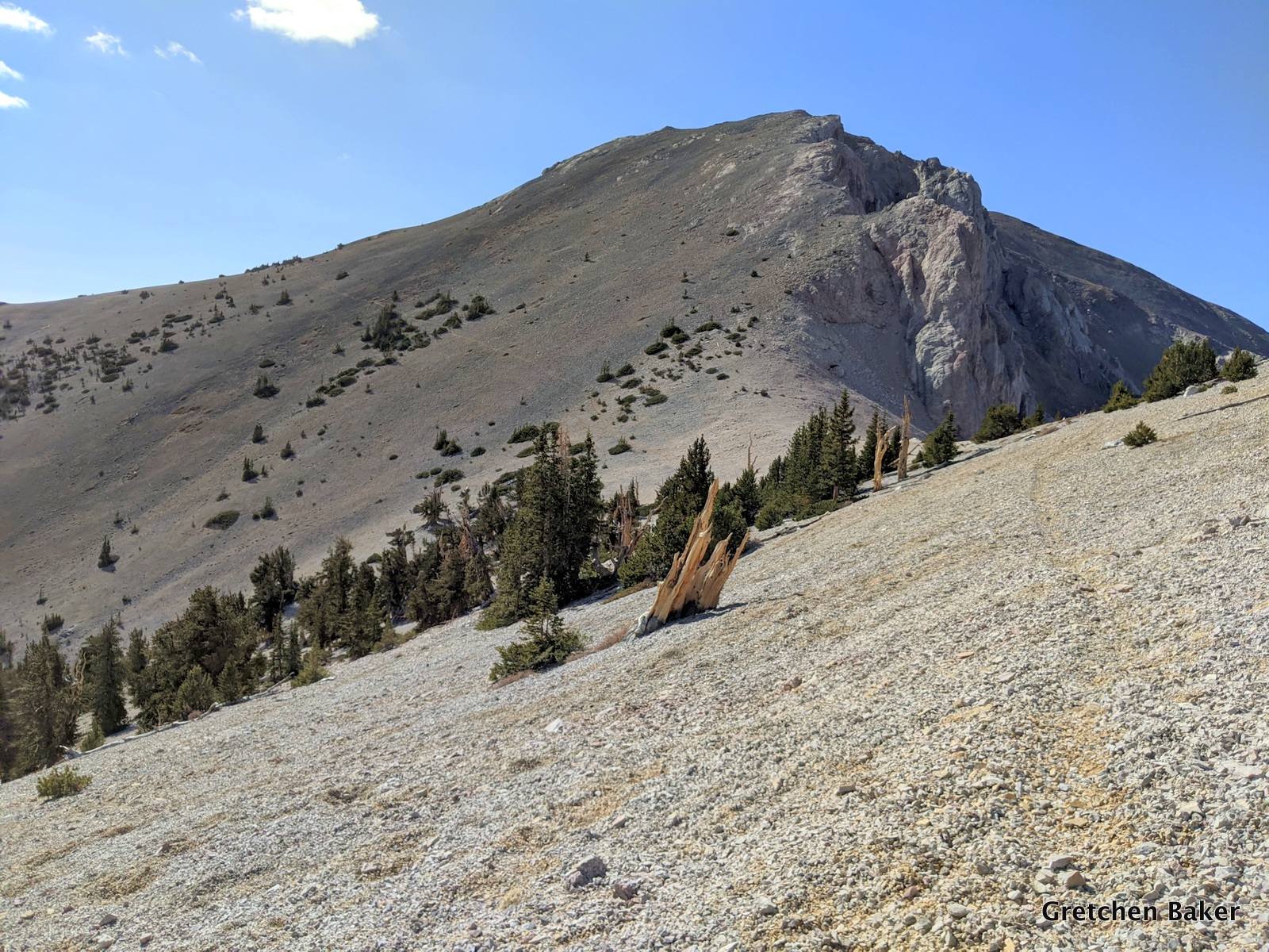 Desert Survivor Up to Mount Moriah via Hendry's Creek, White Pine