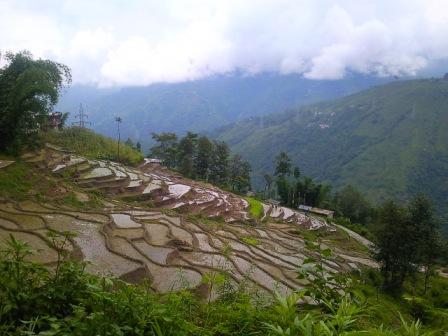 Cheap and best home stays in Darjeeling