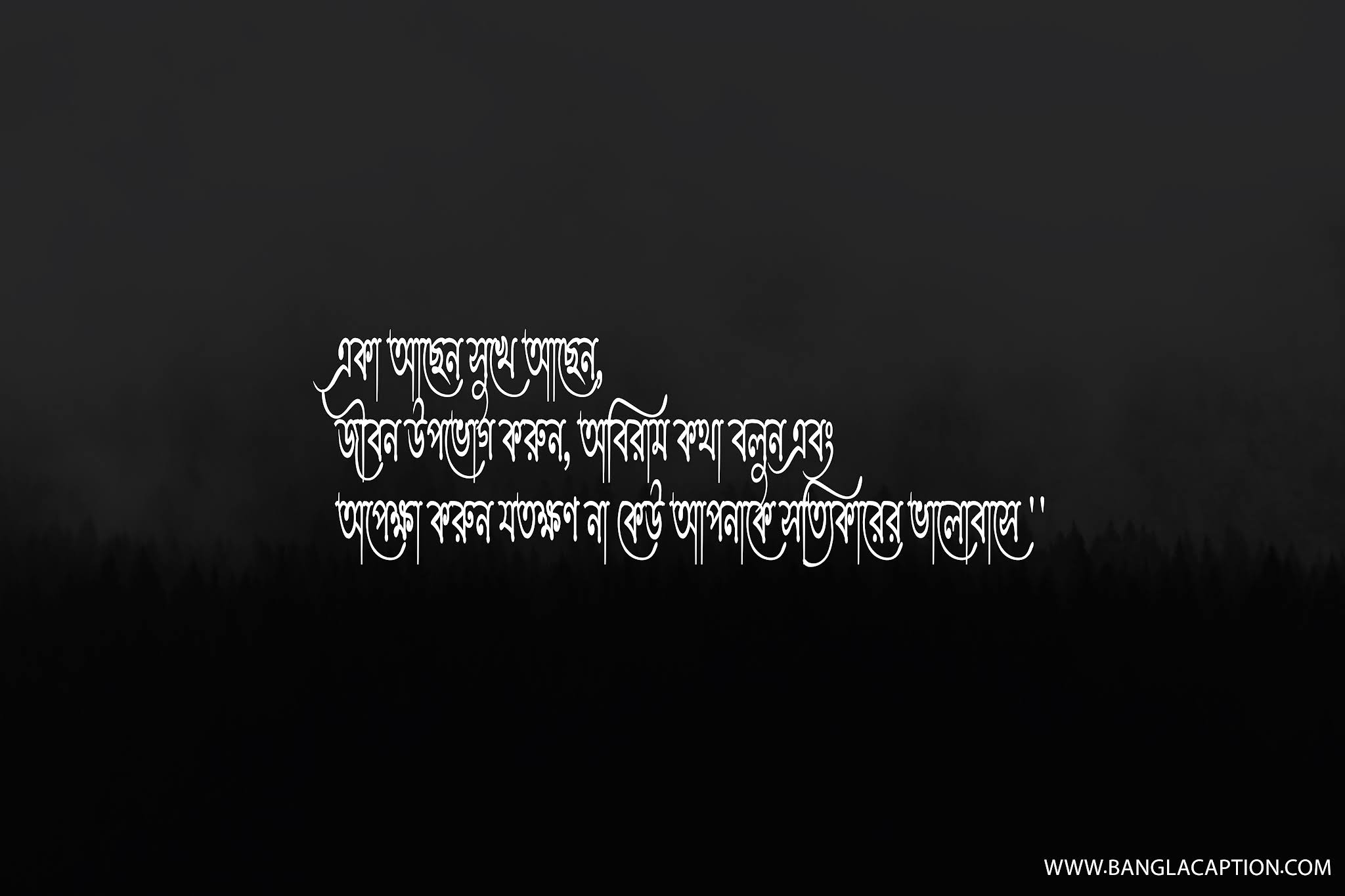 সিঙ্গেল লাইফ স্ট্যাটাস/Single Life Status Bangla/NEW