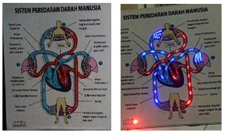 Alat Peredaran Darah Manusia