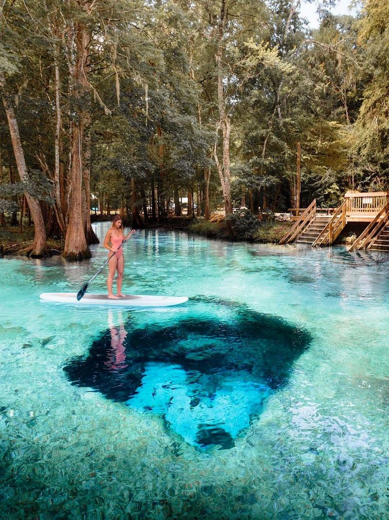 Ginnie Springs The clearest springs in Florida