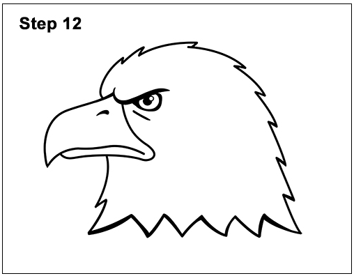 Cara Menggambar Burung Elang Besar