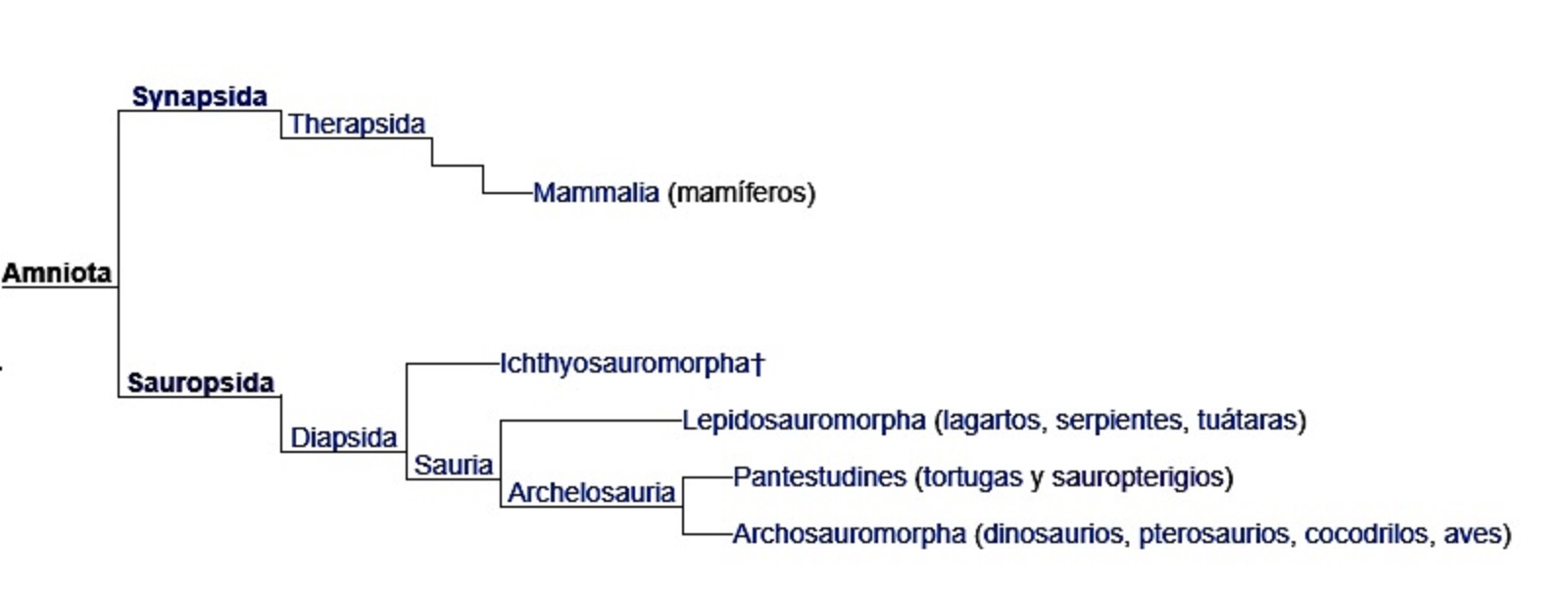 Divulgación de la Ciencia: Reptiles marinos del Mesozoico
