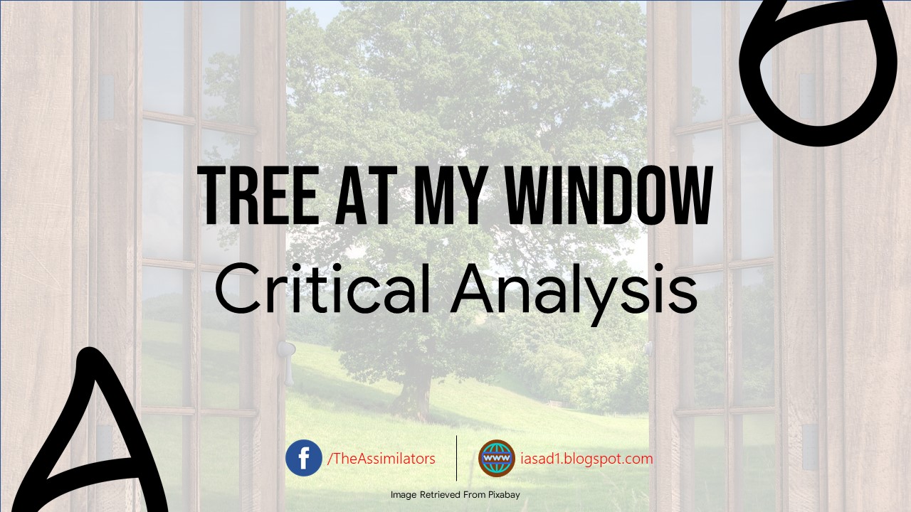 Critical Analysis - Tree at My Window