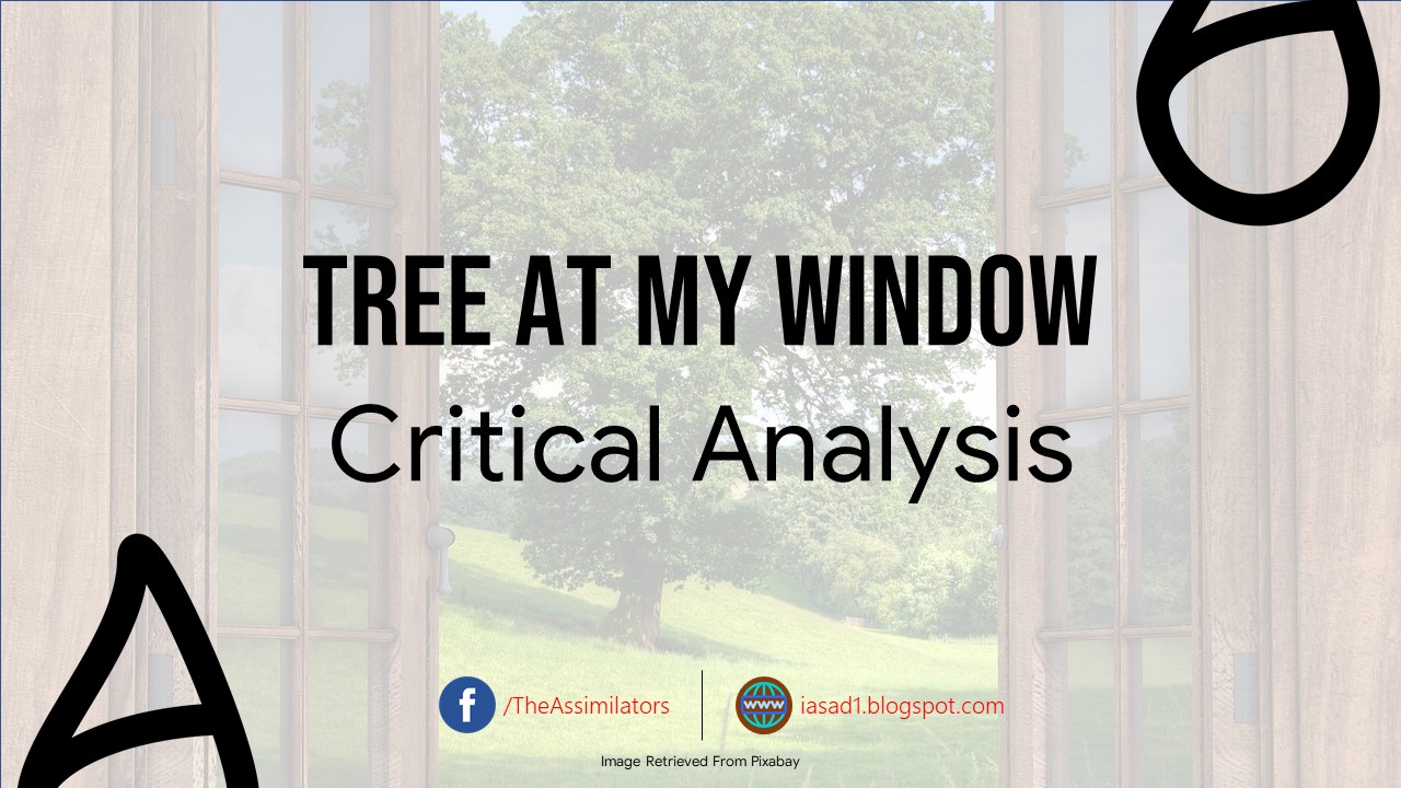 Critical Appreciation Tree at My Window Robert Frost Asad Imran
