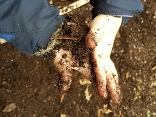 Toddler Playing in the Dirt