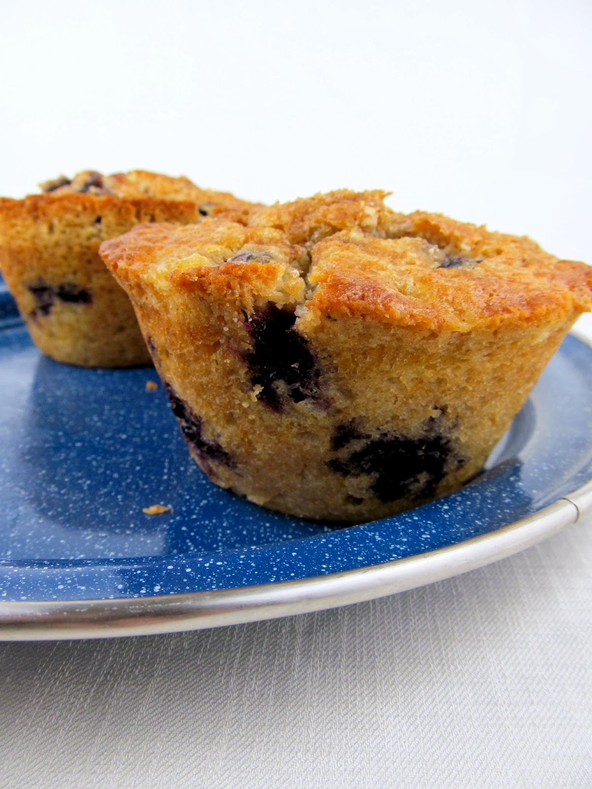 Rise and Shine Jumbo Blueberry Muffins