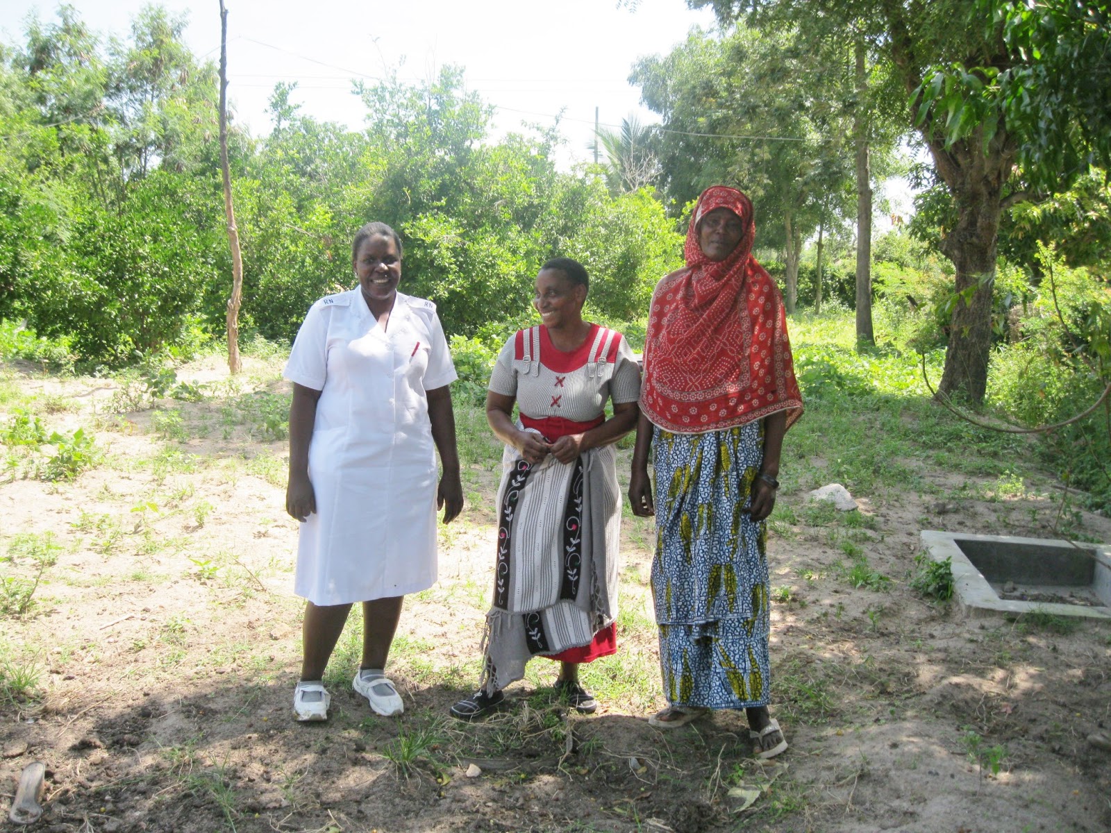 The One Person Project Blog Help 15 Families Chicken Cooperative