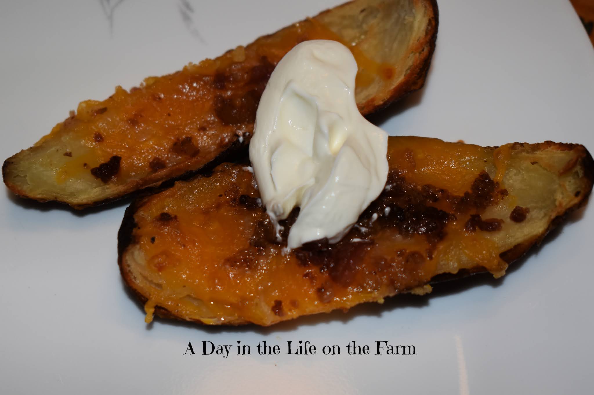 A Day in the Life on the Farm Cheese and Bacon Stuffed Potato Skins 