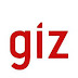 Job Opportunity at GIZ, Advisor