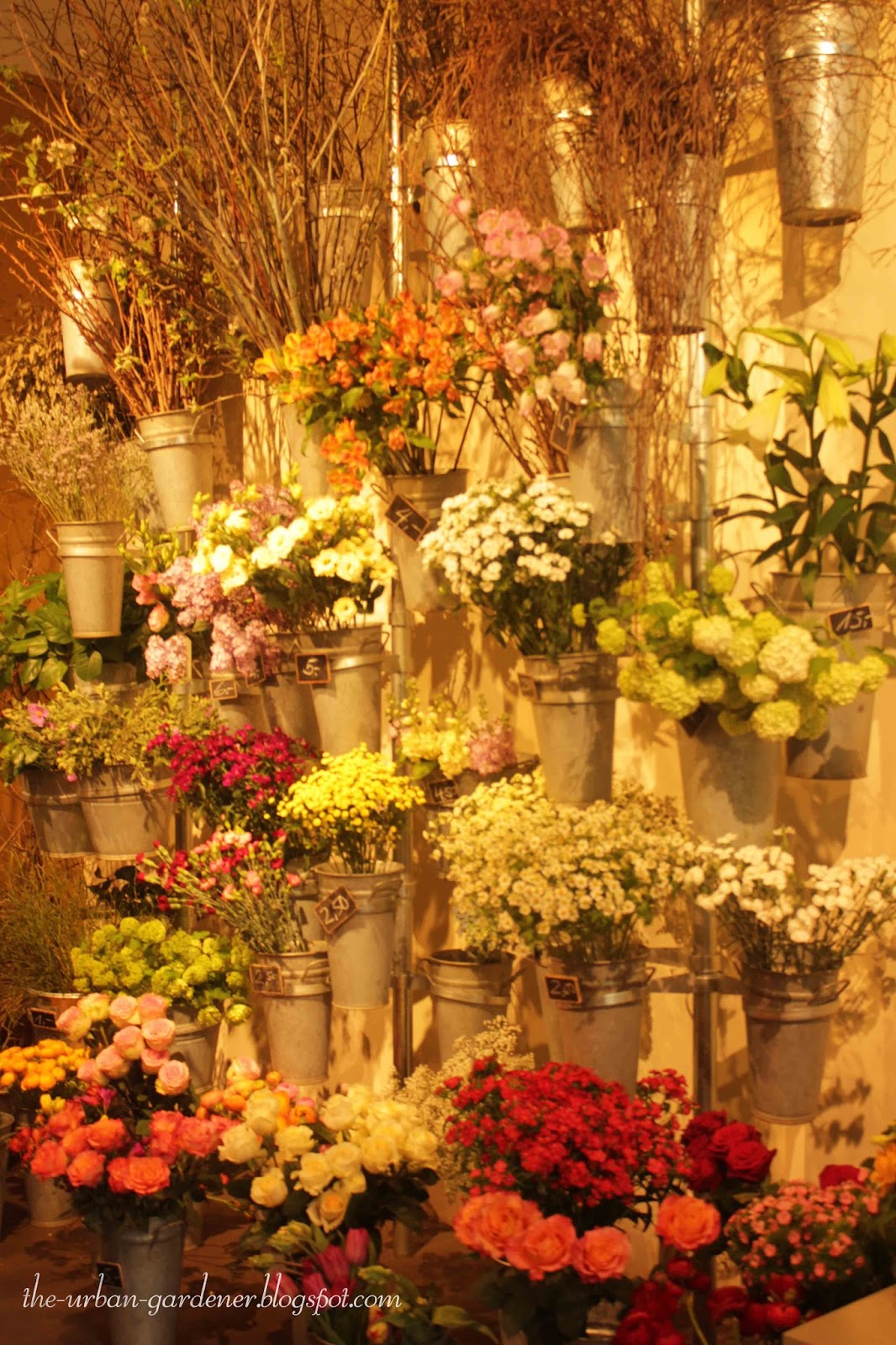 The Urban Gardener Travel More floral artistry in Zurich