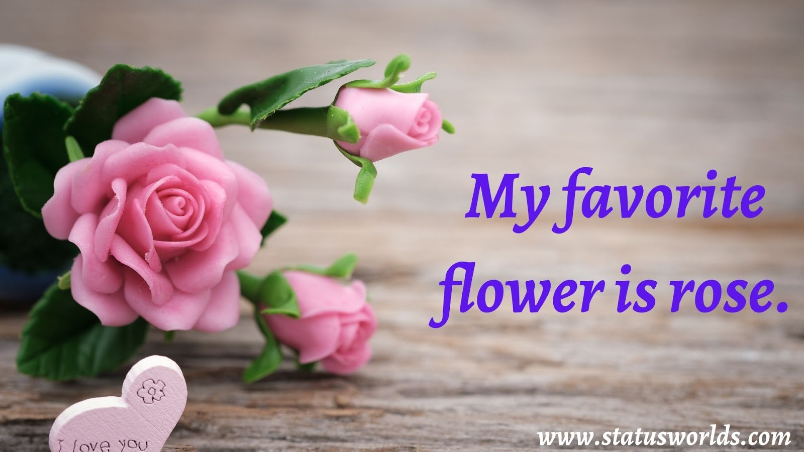 [Colorful] Flower Status, Quotes & Captions [ 2022 ] For A Flower Lover