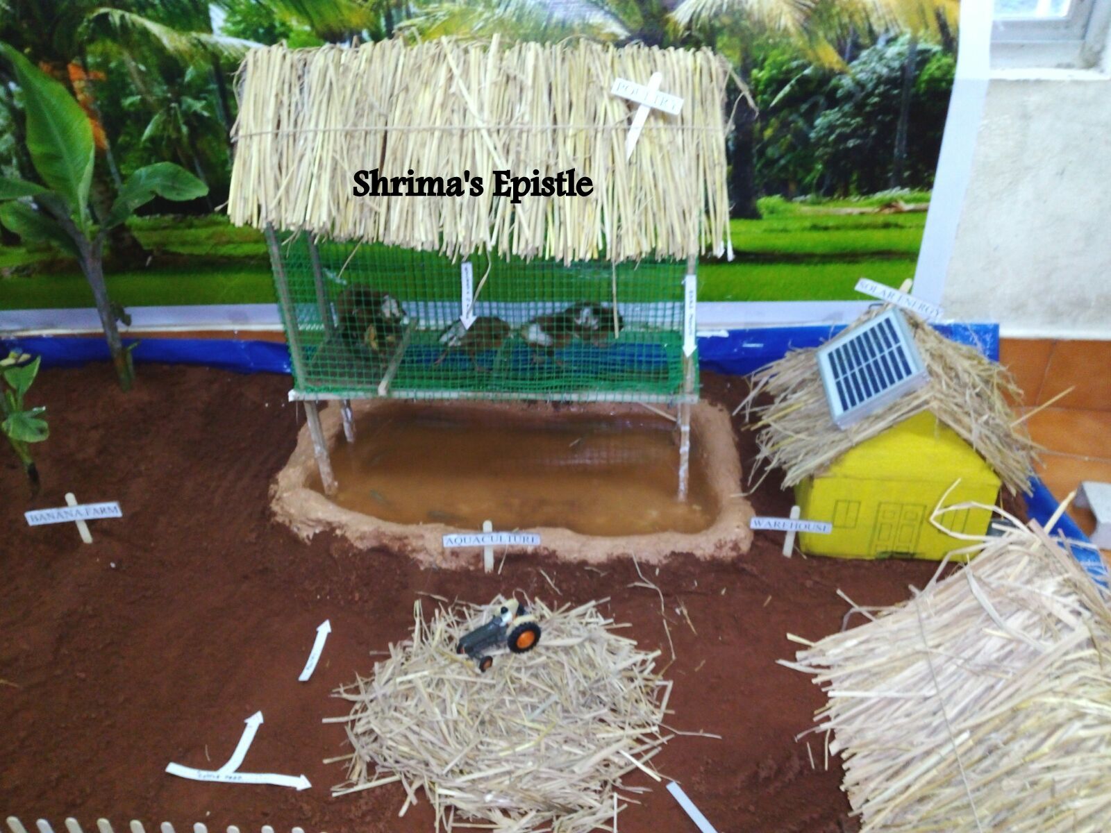 Shrima S Epistle 2015