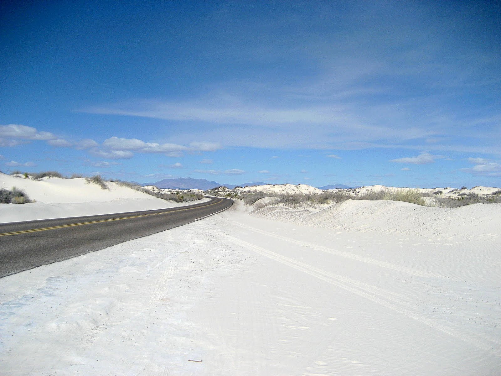 Living Rootless Alamogordo White Sands, Walmart, and LentEdible