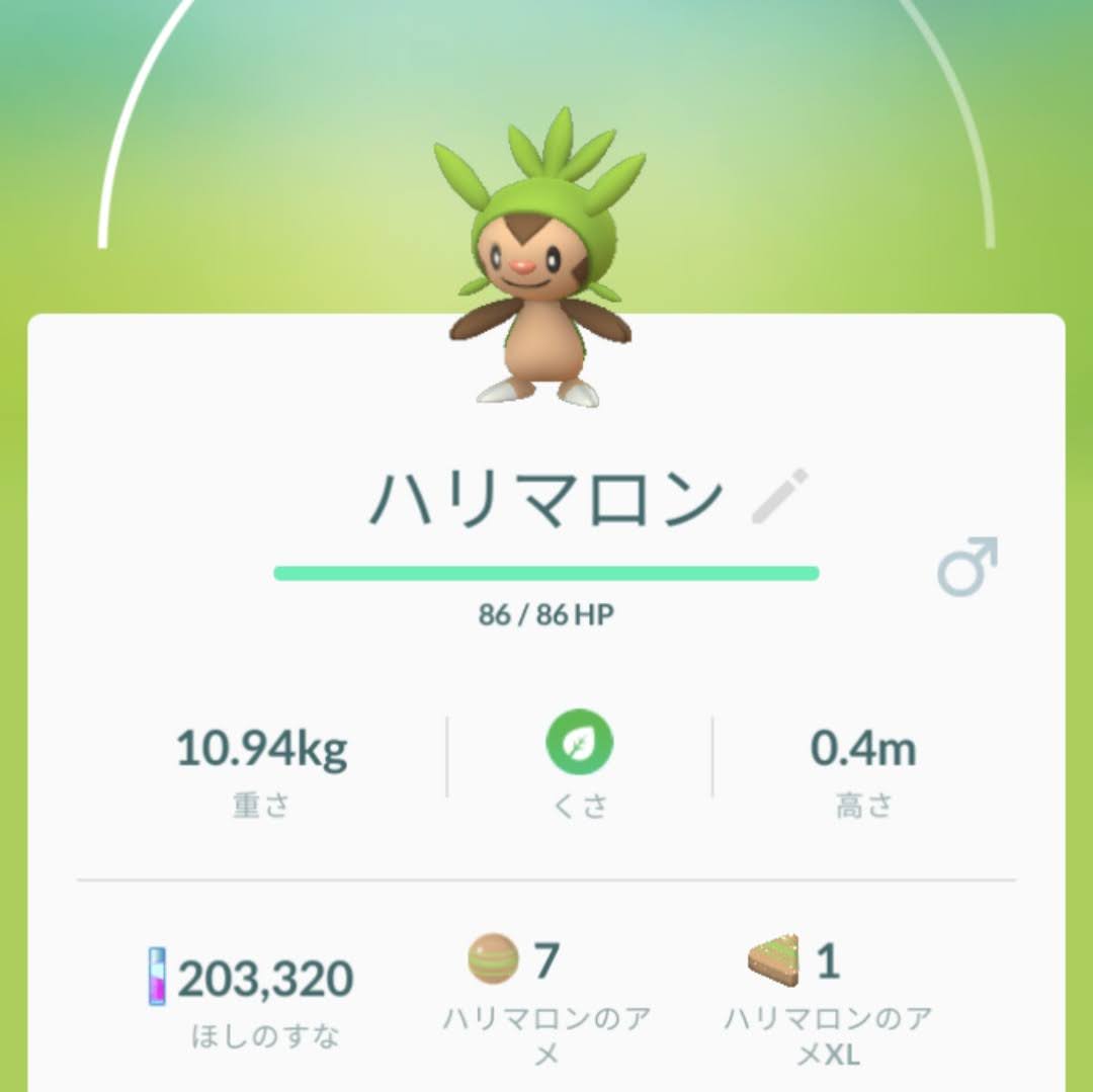 アメ xl ポケモン