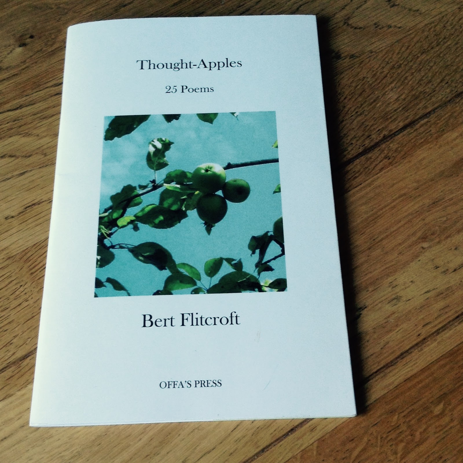 Leicester poetry workshops picture