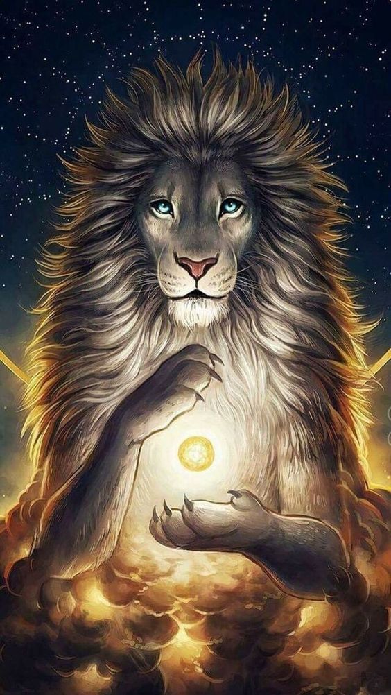 ملك الغابة أسد من اروع واجمل خلفيات الهاتف