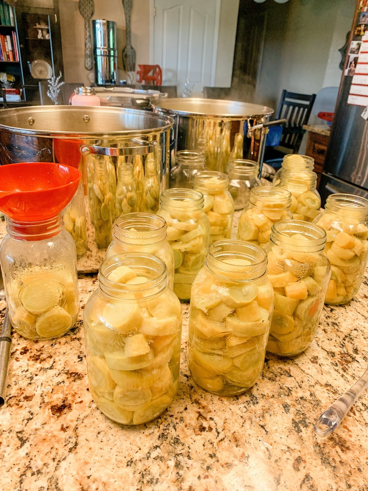 Country Mama To Many Canning Summer Squash
