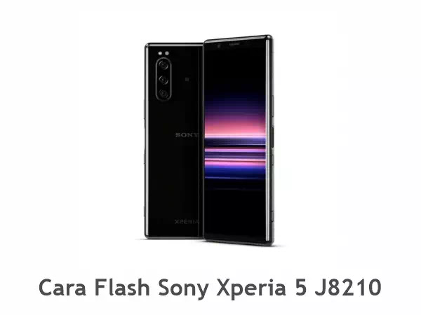Flash Sony Xperia 5 J8210