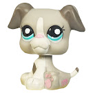 Littlest Pet Shop Gift Set Boxer (#2038) Pet