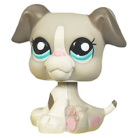 Littlest Pet Shop Gift Set Boxer (#2038) Pet