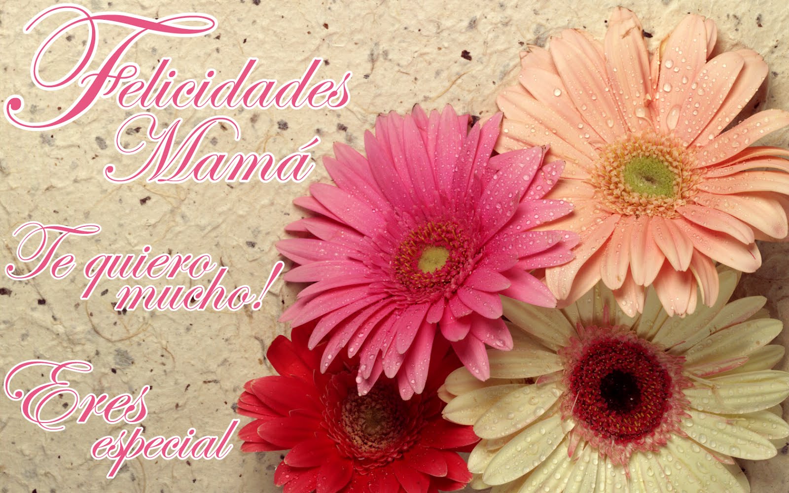 Unique Wallpaper Día de las Madres en Panamá 8 de Diciembre