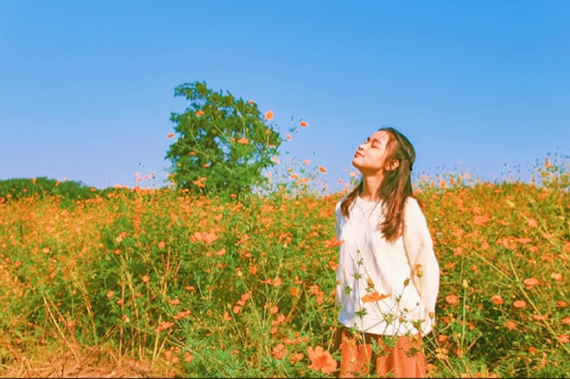 Rumus CapCut Aesthetic Tan