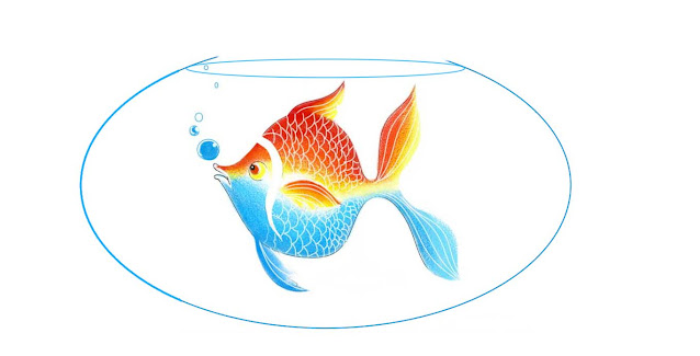 how-to-draw-a-fish-aquarium
