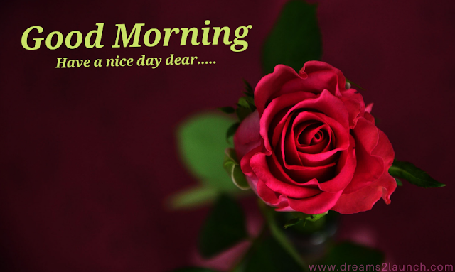 good morning red rose images