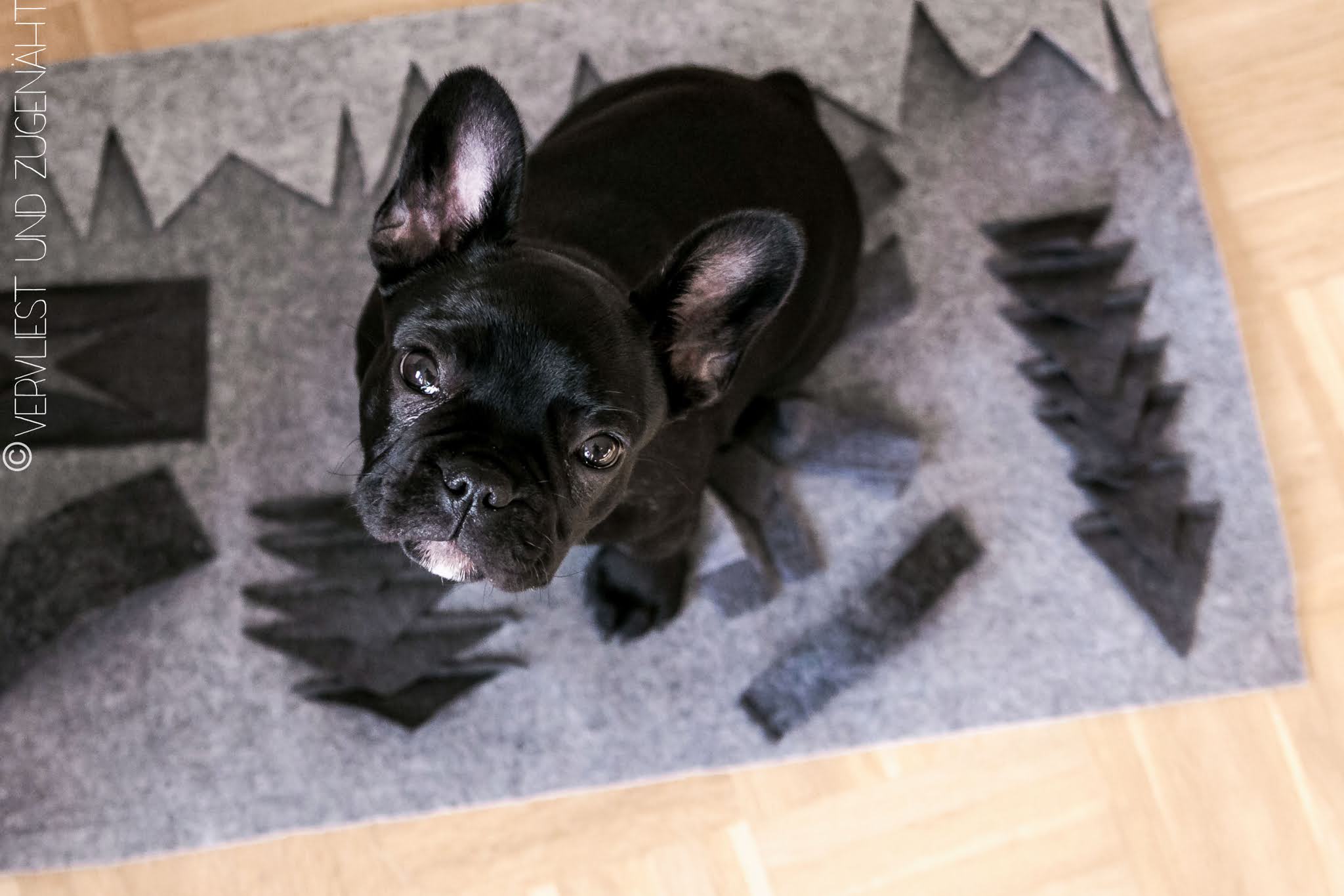 Vervliest Und Zugenaht 2021