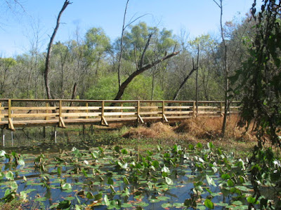 Lake Conestee Nature Park greenville county south carolina