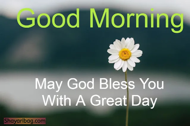 Good Morning with Flowers Images Good Morning with Flowers Images