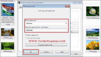 how to put password on zip folder how to put password on zip folder